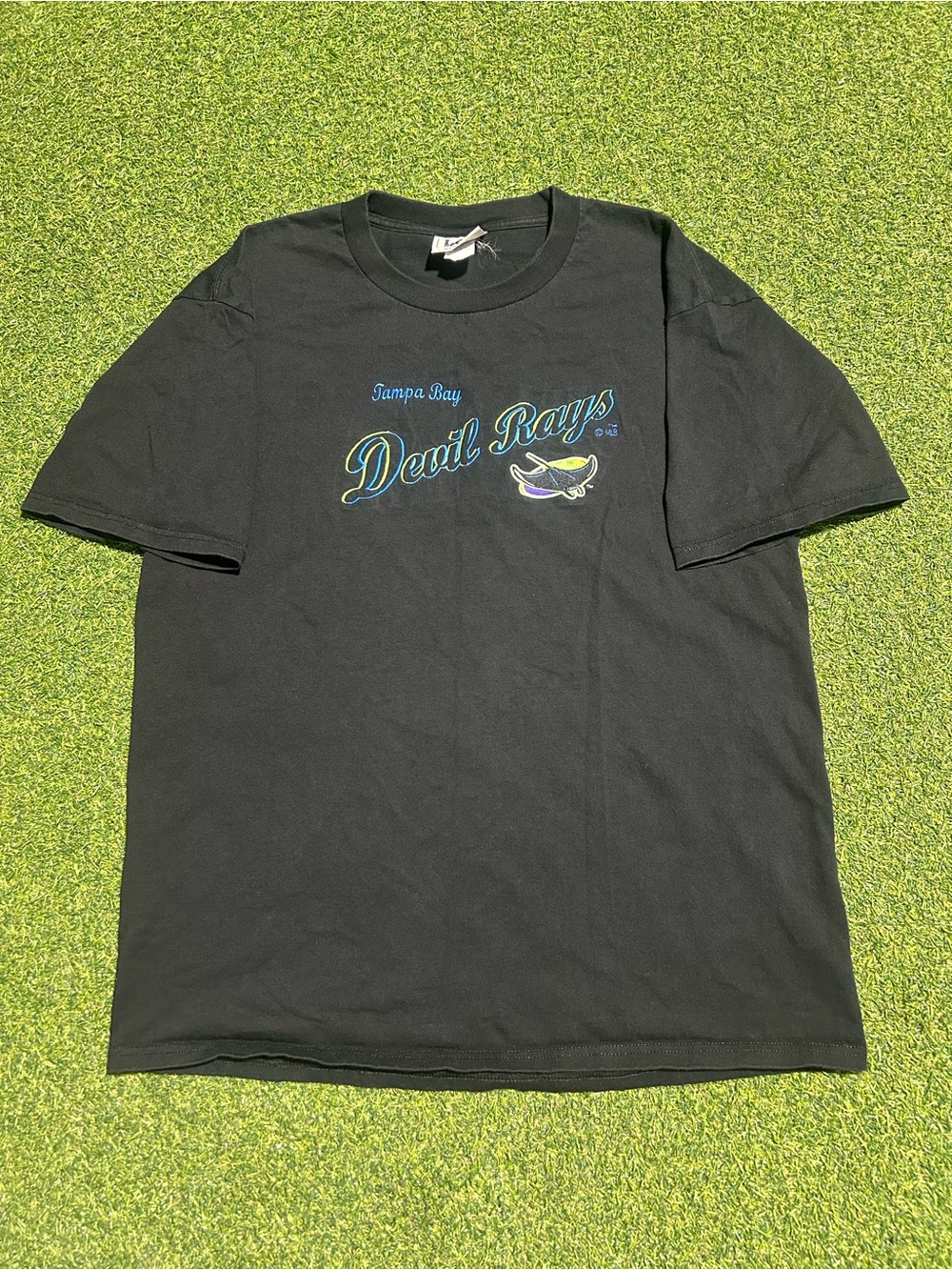 Vintage Lee Tampa Bay Devil Rays MLB Baseball Embroidered tee